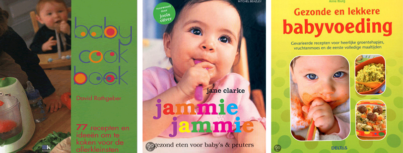 receptenboek Babyhapjes zelf maken simpel en voordelig!