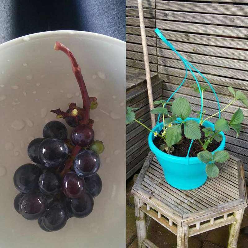 Begin aan gezonde voeding voor je kleintje en geef het goede voorbeeld 2