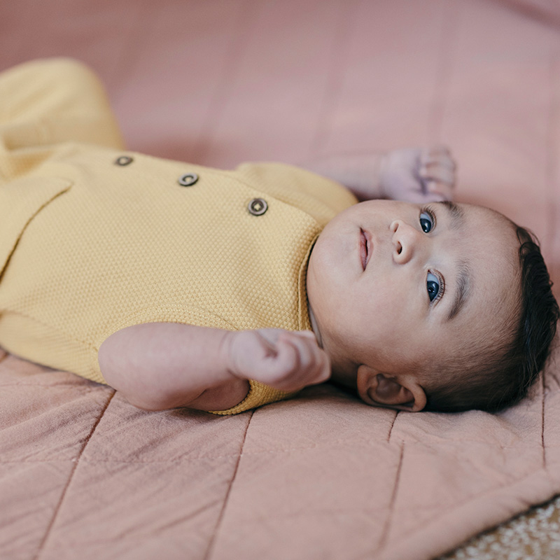 prenatal sweet petit lente 2019