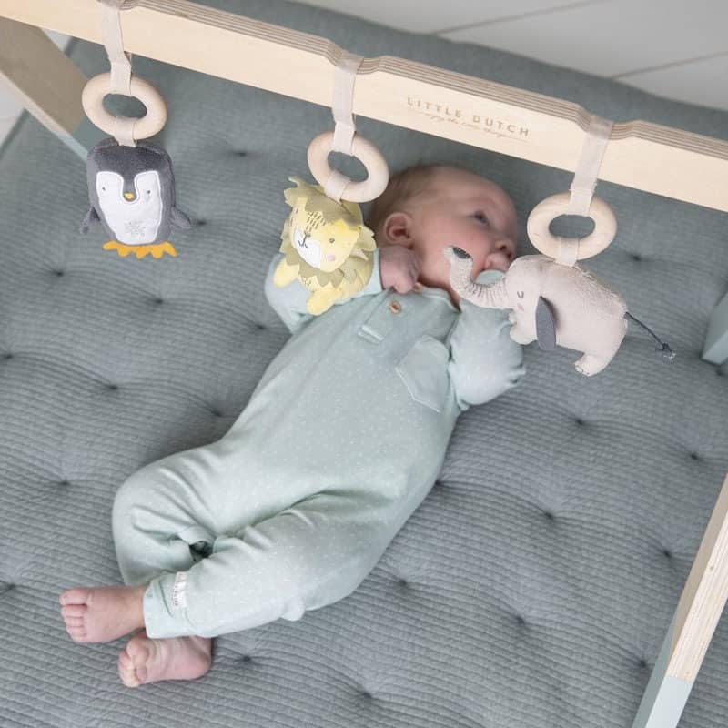 Little Dutch speelgoed babygym