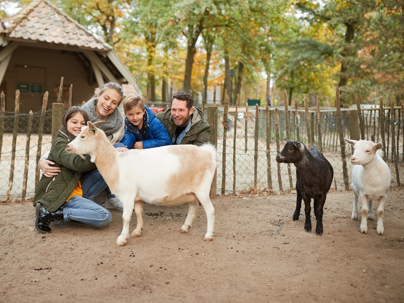 Center Parcs buiten- en binnenactiviteiten
