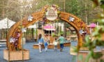 Vier de lente bij Center Parcs