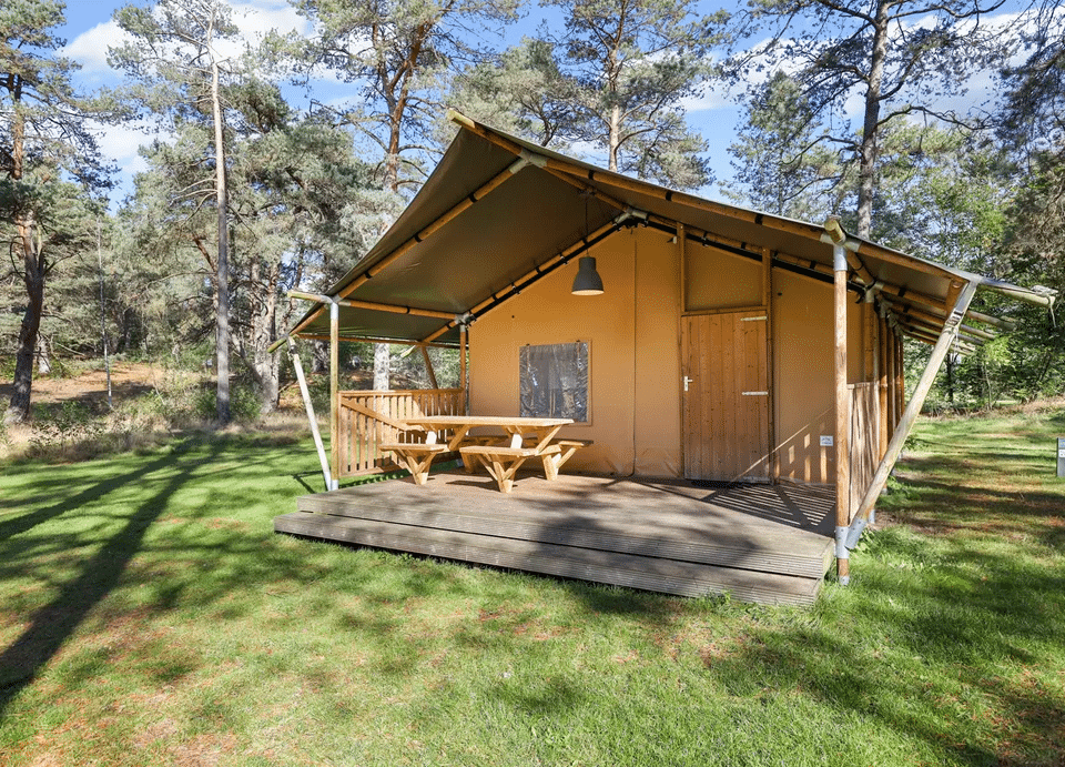 Landal Vakantiepark Coldenhove 6-persoons safaritent 6ST zomervakantie
