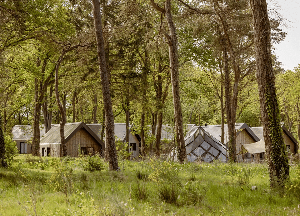 Landal Resort Roodewoud natuur